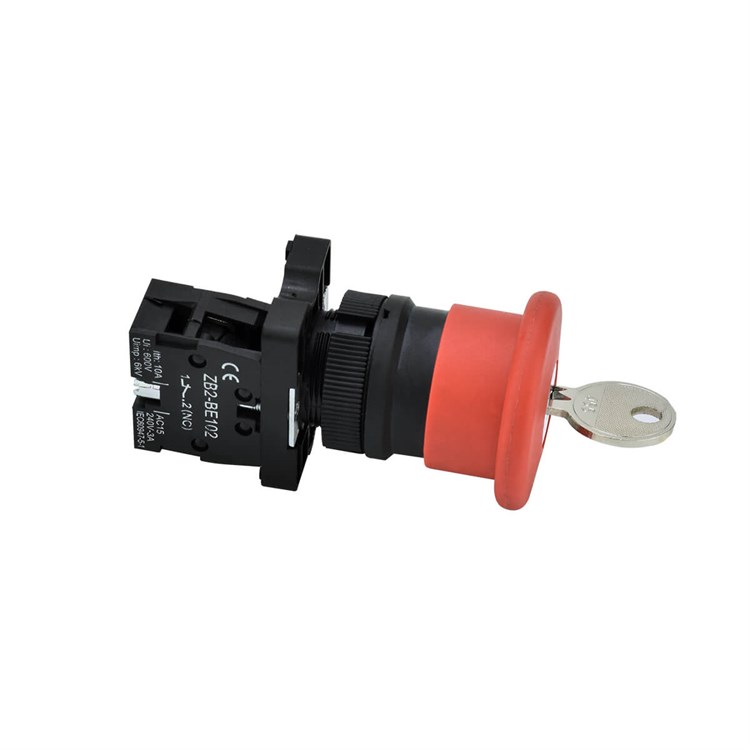B2-01ZA Anahtarlı Mantar Buton